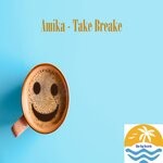 cover: Amika - Take Breake