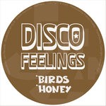 cover: Disco Feelings - Birds & Honey