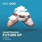 cover: Level Groove - Future