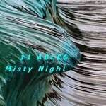 cover: 11 Ables - Misty Night