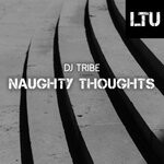 cover: Dj Tribe - Naughty Thoughts