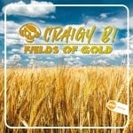 cover: Craigy B! - Fields Of Gold