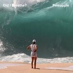 cover: Did I Breathe? - Pineapple