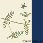 cover: Anton Kubikov - Herbarium Part Four