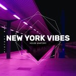 cover: House Anatomy - New York Vibes