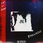 cover: Fk|Koder - Edelweiss