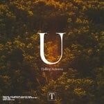 cover: Tjalling Reitsma - U (I Love You)