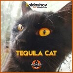 cover: Boldashov - Tequila Cat (Dopedutcher Remix)