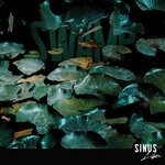 cover: Sinus Liber - Swamp