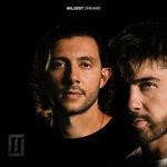 cover: Majid Jordan - Wildest Dreams