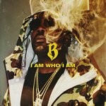 cover: Baka Not Nice - I Am Who I Am