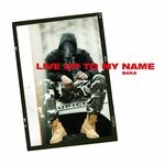 cover: Baka Not Nice - Live Up To My Name