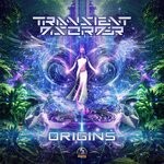 cover: Transient Disorder - Origins