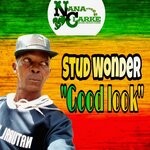 cover: Stud Wonder - Good Look