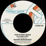 cover: Wayne Bonaparte - For Every Hour B/w Pan City