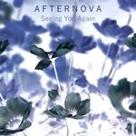 cover: Afternova - Seeing You Again