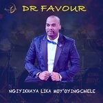 cover: Dr Favour - Ngiyikhaya LikaMoya Ongcwele