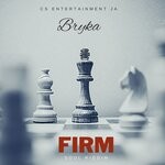 cover: Bryka - Firm