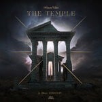 cover: Phuture Noize - The Temple (A 2k22 Variation)