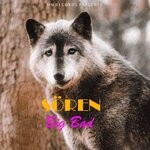 cover: Soren - Big Bad