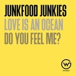 cover: Junkfood Junkies - Do You Feel Me?/Love Is An Ocean