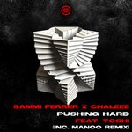 cover: Toshi|Chaleee|Sammi Ferrer - Pushing Hard