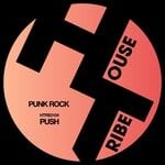 cover: Punk Rock - PUSH