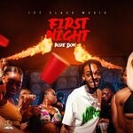 cover: 1stclass|Roze Don - First Night