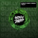 cover: Birdy|Breeza|Dubblet - Gully