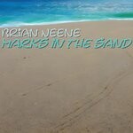 cover: Brian Neene - Marks In The Sand