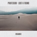 cover: Professor (ro) - Lost & Found