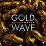 cover: Dave Swayze - Goldwave