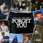 cover: Alida|Gabry Ponte|Lum!x - Forget You (with Gabry Ponte)