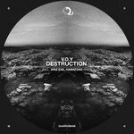 cover: V.o.y - Destruction