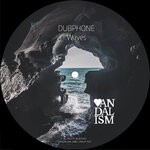 cover: Dubphone - Waves