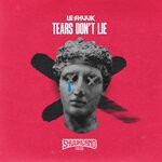 cover: Le Shuuk - Tears Don't Lie