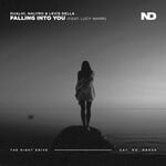 cover: Dualhi|Nalyro|Lucy Warr - Falling Into You