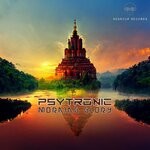 cover: Psytronic - Morning Glory