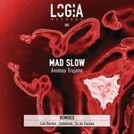 cover: Mad Slow - Animas Trujano