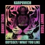 cover: Karpovich - ODYSSEY / What You Like