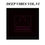 cover: Various - Deep Vibes Vol VI