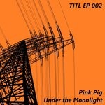 cover: Pink Pig - Under The Moonlight