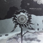 cover: Nik Alevizos - Words