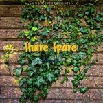 cover: Share Spare - Grown