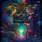 cover: Acid Dj - LSDination