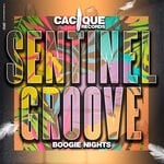 cover: Sentinel Groove - Boogie Nights