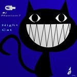 cover: Dj Phantom 7 - Night Cat