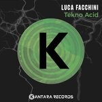 cover: Luca Facchini - Tekno Acid