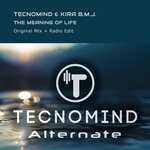 cover: Kira B.m.j.|Tecnomind - The Meaning Of Life