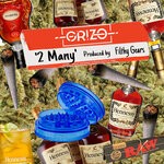 cover: Griz-o - 2 Many